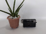 CÂMERA FOTOGRÁFICA - YASHICA: Antiga câmera fotográfica da marca Yashica , modelo DF - 100 AF, com alça manual, funcionando. Medidas: altura: 8 cm, largura: 13 cm e profundidade: 15 cm.