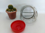 BALEIRO - VIDRO: Antigo gomo de baleiro de vidro transparente, com tampa em plástico, apresenta trincado. Medidas: altura: 20 cm, largura: 20 cm e profundidade: 20 cm.