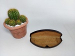 CAIXA CANETA - PARKER: Antiga caixa estojo de caneta Parker Vacumatic em acrílico marrom, MADE IN U.S.A.. Medidas: altura: 2 cm, largura: 7 cm e comprimento: 18 cm.