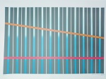 Paulo Calazans, Varal, gravura, tiragem 7/100, 2013, 50x70cm, sem moldura