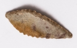 Arqueologia - Ponta de flecha com data estimada entre 6000 e 4000 a.C - África - Norte - Mali e Níger, proveniente de importante coleção européia.
Peça rara, grande - 17x45mm
