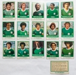 Figurinhas - Cards Ping-Pong - Estimadas peças do futebol brasileiro - Grande procura e cotação crescente - 65x90mm - Final dos anos 70-1979 até 1980 - Peças já com mais de 50 anos!! Oportunidade. Atenção, aconselhamos análise apurada. S.E. Palmeiras - 16 peças