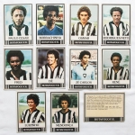 Figurinhas - Cards Ping-Pong - Estimadas peças do futebol brasileiro - Grande procura e cotação crescente - 65x90mm - Final dos anos 70-1979 até 1980 - Peças já com mais de 50 anos!! Oportunidade. Atenção, aconselhamos análise apurada. Botafogo F.R - 11 peças 