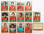 Figurinhas - Cards Ping-Pong - Estimadas peças do futebol brasileiro - Grande procura e cotação crescente - 65x90mm - Final dos anos 70-1979 até 1980 - Peças já com mais de 50 anos!! Oportunidade. Atenção, aconselhamos análise apurada - A. Portuguesa de Desportos - 14 peças
