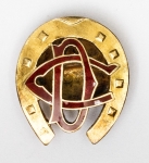 Derby Clube do Rio de Janeiro - Distintivo de sócio - Nº 1363 - Em prata banhada a ouro e esmaltes - 18x21mm e 4g