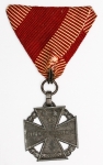 Militaria Alemanha - Cruz de tropa do Império Austro Húngaro - MDCCCCXVI - 30x40 + 40 (fita) - Bela fita