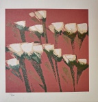 Olímpia Couto, Tulipas, gravura, tiragem 72/120, 50x50cm, sem moldura