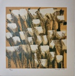 Olímpia Couto, Tulipas, gravura, tiragem 69/120, 50x50cm, sem moldura
