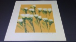 GRAVURA - TIRAGEM P.A. - TULIPAS PQ EM FUNDO LARANJA - SERIGRAFIA - 35 X 35CM - OLIMPIA COUTO - ASSINADO A LAPIS PELA ARTISTA - ACID - SEM MOLDURA - APRESENTA PONTOS DE ACIDEZ POR CONTA DO TEMPO