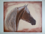 GRAVURA - TIRAGEM 49/100 - CAVALO - SERIGRAFIA - 75 X 100CM - CARLOS PASSOS - ASSINADO A LAPIS PELA ARTISTA - ACID - SEM MOLDURA - NO ESTADO CONFORME FOTOS