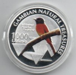 MOEDA GAMBIA - 1000 DALASIS 2015 - COBRE REVESTIDO DE PRATA - 28 GRAMAS - 40MM - FC - TESOUROS NATURAIS DA GAMBIA - PAPA MOSCAS DE BARRIGA VERMELHA - REPLICA EM PERFEITO ESTADO CONFORME FOTOS