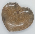 LINDO PRATO NATURAL DE CORAL FOSSILIZADO RICAMENTE ESCULPIDO EM FORMATO DE CORAÇAO E PERFEITAMENTE POLIDO PARA REVELAR A BELEZA DAS ESTRUTURAS INTERNAS DA COLONIA DE CORAIS - COM APROXIMADAMENTE 320 MILHOES DE ANOS - ENCONTRADO NO DESERTO DO SAARA OCIDENTAL " MARROCOS " - ESSAS AMOSTRAS FORAM ESCULPIDAS E PROCESSADAS DE UMA MANEIRA QUE HONRA A RICA E LONGA HISTORIA DO POVO MARROQUINO - EM PERFEITO ESTADO CONFORME FOTOS