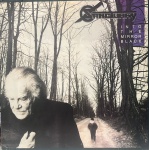 Lp Sanctuary - Into The Mirror BlackEm bom estado