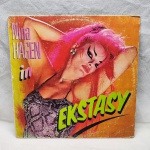 Disco de vinil Nina Hagen Band em bom estado de conservação