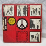Disco de vinil Engenheiros do Hawaii com encarte, item em bom estado de conservação