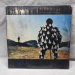 Disco de Vinil Pink Floyd Delicate Sound of Thunder com encarte, item em muito bom estado de conservação