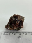 Granada (grossulária andradita) na matriz cristais dodecaedricos semitransparentes de bela cor e brilho; Santana - Rio Grande do Norte, medindo 4cm
