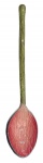 Grande colheres para servir esmaltada em tons de verde e rosa. Comprimento: 29cm