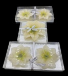 Lote composto por cinco velas flutuantes, sendo uma delas maior. Diâmetro da maior: 15cm Diâmetro da menor: 11,5cm