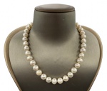 Colar feito com pérolas de água doce brancas (aproximadamente 9mm) e fecho em ouro 18k. Comprimento aberto: 42,5cm