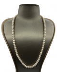 Colar feito com pérolas de água doce brancas e fecho em metal folheado a ouro. Comprimento aberto: 58,5cm