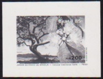 Brasil 1985 - Jardim Botânico, selo em prova fotográfica, sem denteação em papel cartão emitida pelos correios para distribuição à imprensa. Tiragem de apenas 100 peças!