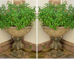 <b>Par de floreiras </b>em pedra, esculpidas na forma de taça, com bojo em gomos apoiado sobre base balaústre e soco quadrangular. Pátina natural de exterior. Med. 103 x 96 cm