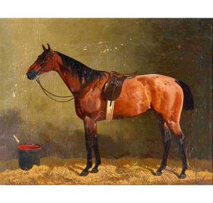 <b>VOLKERS</b><Br>Cavalo<Br>Óleo s/ tela<Br>Ass. cie<Br>27 x 33 cm