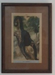 DA CRUZ LIMA, ELADIO- Linda estampa em papel representando primatas brasileiros, 1944. Medida total com moldura: 49x35cm