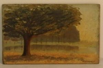 ROBERTO STAVALE - osp ( Ibirapuera - 1963 ) med: 13,5 x 21,5 cm. S/ moldura