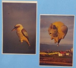 Fotografia-2 peças Festival de Balões especiais  !! Formas diferentes Coelhinho !!  E passaro   !! !! Tamanho 14cmx 10cm !! 