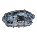 Fóssil em madeira petrificada, centro adaptado para cinzeiro, 40 x 23, Alt. 5 cm.