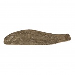 Fóssil de peixe petrificado, 42 x 11, Alt. 5 cm.