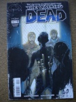 349 - Gibi - THE WALKING DEAD - SÉRIE VENCEDORA DOS PRÊMIOS EISNER E EAGLE - Nº 13 - Outubro de 2013 - HQM Editora - Formato americano - Revista em bom estado de conservação, contendo 32 páginas.