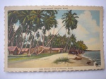 Cartão Postal - ALAGOAS - LAGOA MACEIÓ - Cartão Circulado - Anos 1940 - Muito bom para ótimo estado de conservação.