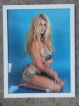 BRIGITTE BARDOT - Lindo quadro com reprodução fotográfica de foto original da atriz. OBS. Dimensões 29 X 38 cm, sem a moldura. Com a moldura mede 33 X 43 cm.