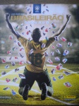 Álbum de Figurinhas - GRASILEIRÃO SÉRIES A e B - Ano 2019 - Editora Panini <<<<<<< VAZIO >>>>>>> Excelente estado de conservação