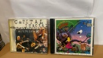 DOIS CDs: CAPITAL INICIAL E ULTRAJE E RIGOR  * BOM ESTADO