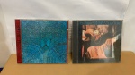 2 CDs: SANTANA BORBOLETTA, ERIC CLAPTON * MUITO BOM ESTADO