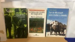 LOTE 3 LIVROS: A ITÁLIA NOS TEMPOS DE MAQUIAVEL E OUTROS