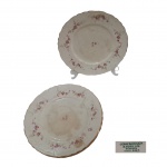 Seis pratos em porcelana inglesa decorado com policromia e bordas douradas sobre fundo branco com acentuadas marcas do tempo e um com fio de cabelo, Diam.23 cm.