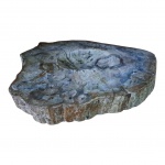 Fóssil em madeira petrificada, centro adaptado para cinzeiro, 30 x 15, Alt. 5 cm.