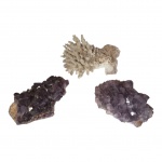 Par de drusas em ametista e um coral do oceano Pacífico, 15 x 9 Alt. 7 - 13 x 9, Alt. 7 cm. e 17 x 11, Alt. 9 cm.