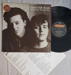 LP TEARS FOR FEARS - SONGS FROM THE BIG CHAIR C/ ENCARTE // CAPA CONFORME FOTOS // DISCO EM MUITO BOM ESTADO // PODE CONTER RISCOS QUE CAUSAM CHIADOS, RUÍDOS OU PULOS