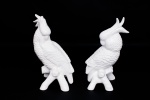 Luiz Salvador - Par de esculturas decorativas em cerâmica branca vitrificadas representando " Cacatuas sobre galhos ", marca da manufatura na base - med. 29x17x14 cm ( uma escultura com pequena falha na policromia de uma pena)