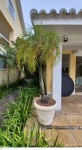 Grande vaso em cimento pintado de branco medindo 55 cm de altura por 60 cm de diâmetro  e altura total 230 cm de altura na planta, retirada em local térreo em condominio na Av das Américas altura do Riviera del Fiori.
