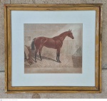 Antiga gravura emoldurada Cotherstone (18401864) foi um cavalo de corrida e reprodutor britânico puro-sangue . Em uma carreira que durou de setembro de 1841 a julho de 1843, ele correu onze vezes e venceu oito corridas. Depois de ser derrotado em sua estreia, Cotherstone venceu suas seis corridas seguintes, medida interna 40 cm por 50 cm e total emoldurada e envidraçada 72 cm por 80 cm,, retirada em local térreo em condominio na Av das Américas altura do Riviera del Fiori.