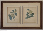 Gravura em montagem dupla emoldurada medindp 56 cm por 82 cm medida interna 30 cm por 24 cm, retirada em local térreo em condominio na Av das Américas altura do Riviera del Fiori.