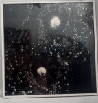 LINDA FOTOGRAFIA DE  Marcos Bonisson é artista e Mestre em Ciência da Arte (UFF). Nasceu e trabalha na cidade do Rio de Janeiro. É também graduado em Letras (UNESA) e Pós-graduado em Arte e Cultura (UCAM).medindo 1,03 X ,103