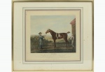 Reprodução. DIOMED, cavalo vencedor do maio evento de relva do mundo , ocorrido em 1780, conhecido com "EPSON SERBY. S/m 41x38 cm e C/m 65x56 cm